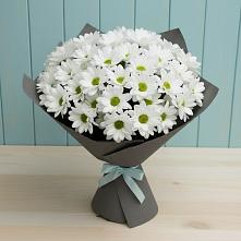 Букет цветов из:  Хризантемы #REPLACE_PRED# Михайловском Республика Северная Осетия - Алания
