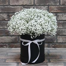 Цветочная композиция из Гипсофила в шляпной коробке в Михайловском Республика Северная Осетия - Алания