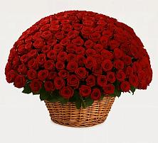 Премиум букет из: Розы в Михайловском Республика Северная Осетия - Алания